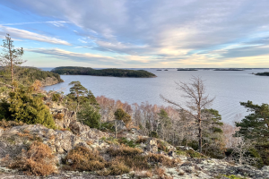 Panoramablick von einem Hügel auf einen See, mit Bäumen, Pflanzen und Felsen im Vordergrund und einem bewölkten Himmel im Hintergrund.
