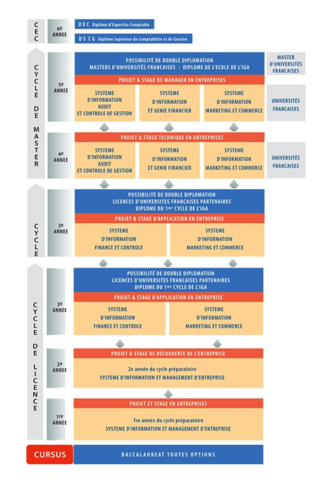 Diagramm, das die organisatorische Struktur eines Unternehmens mit interconnected boxes darstellt, die die verschiedenen Phasen des Geschäftswachstums und der Entwicklung darstellen, begleitet von erklärendem Text.