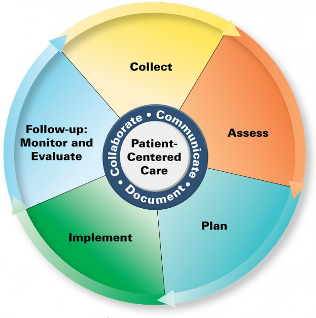 Ein Kreisdiagramm mit der Bezeichnung "patientenorientierte Pflege" mit vier farbigen Abschnitten, von denen jeder einen spezifischen Aspekt der Pflege bezeichnet.