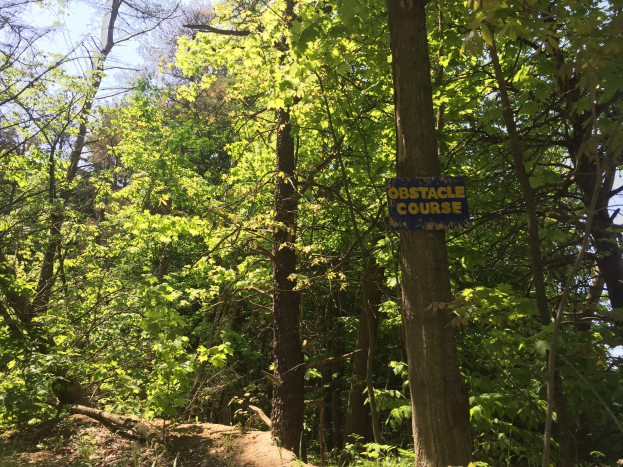Ein Schotterweg im Wald, der von einem Schild mit der Aufschrift "Geländewanderung" markiert ist und von Bäumen gesäumt wird.