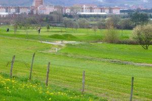 Golfplatz mit saftig grünem Gras, hohen Bäumen, gelben Blumen im Vordergrund, Gebäuden und wolkenlosem Himmel im Hintergrund, Menschen beim Golfspielen.