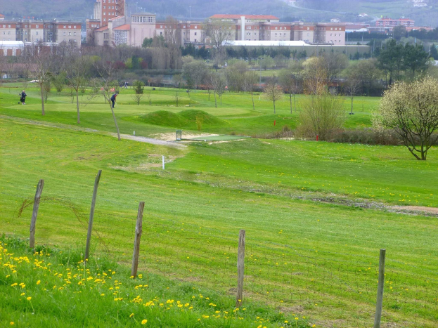 Golfplatz mit saftig grünem Gras, hohen Bäumen, gelben Blumen im Vordergrund, Gebäuden und wolkenlosem Himmel im Hintergrund, Menschen beim Golfspielen.