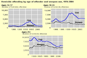 Grafik, die die Homicide-Offending-Rates nach Alter des Täters und Waffennutzung von 1976 bis 2004 zeigt, mit begleitendem erklärendem Text.