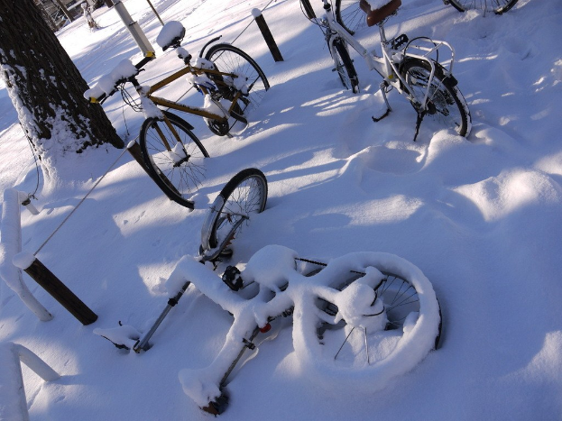 Eine Reihe von Fahrrädern, die teilweise im Schnee begraben sind, neben einem Baumstamm und einer Straße.