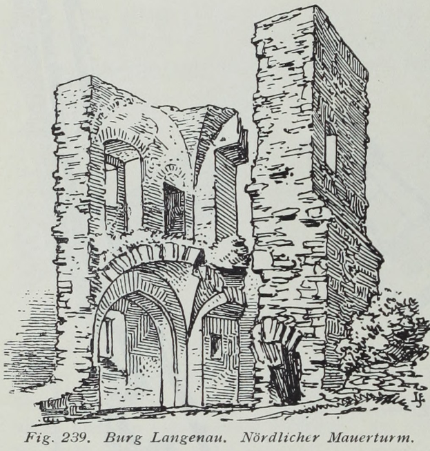Schwarz-weiß-Zeichnung von zerfallenen Ruinen eines Gebäudes mit einem hohen Laubbaum im Vordergrund und Text 'Burg Langenau, Nordlicher Maerturm' unten.