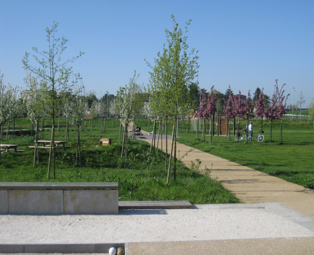Ein parkartiger Weg, gesäumt von Bäumen und Bänken, auf dem Menschen Fahrräder fahren; Gebäude und ein klarer blauer Himmel sind im Hintergrund zu sehen, während der Boden mit saftigem Grün bedeckt ist.