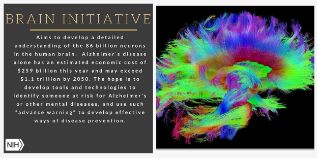 Plakat mit einer farbenfrohen, abstrakten Darstellung eines menschlichen Gehirns auf der rechten Seite und Text auf der linken Seite, der besagt, dass die Brain-Initiative darauf abzielt, die 86 Milliarden Neuronen im menschlichen Gehirn zu verstehen.