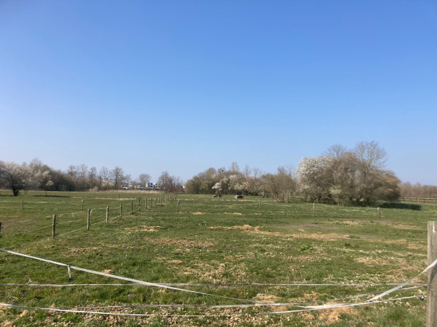 Eine grüne Wiese mit einem Zaun, der sie teilt, umgeben von Bäumen und einem klaren blauen Himmel, als multiple Parzellen zum Verkauf angeboten.